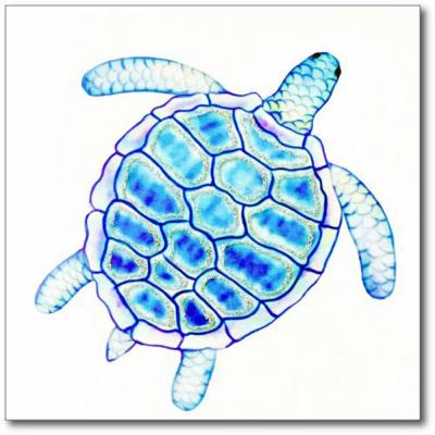 Turtle - English Graphics