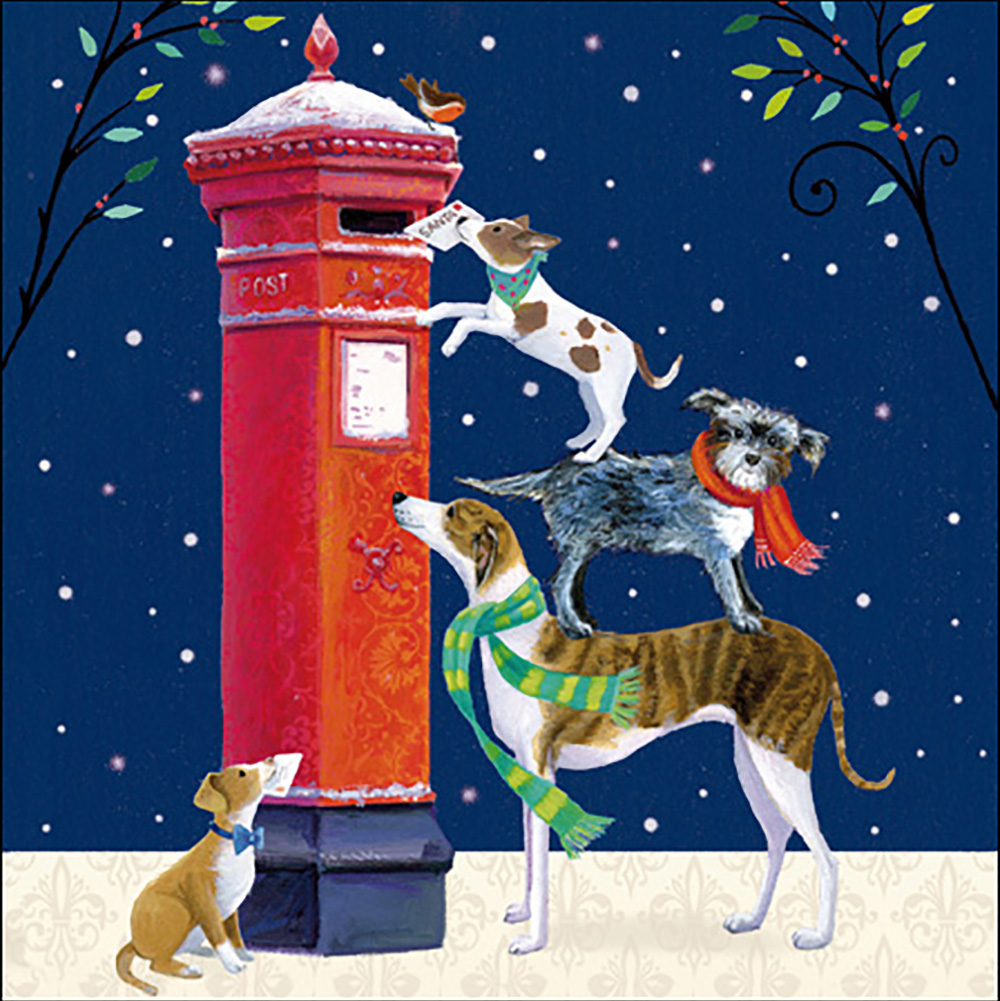 Charity christmas cards Woodmansterne - Charity pack - 457616