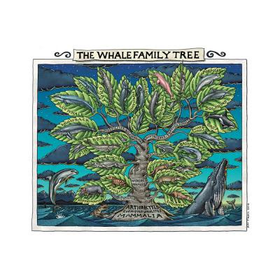 The Whale Family Tree - 6368 - Everyday Card