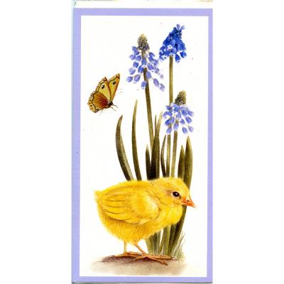 Easter Card - Yellow Chick - 872461