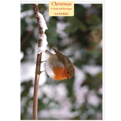 Michael Edwards - Robin' on a snowy bough - 739988257563