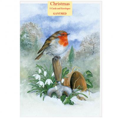 Claire Comerford - Robin on Trowel with Snowdrops, Ivy and Flowerpot - 739988257570