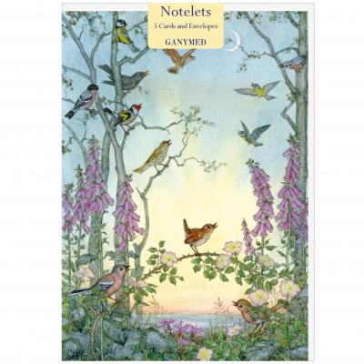 Molly Brett - Dawn Chorus