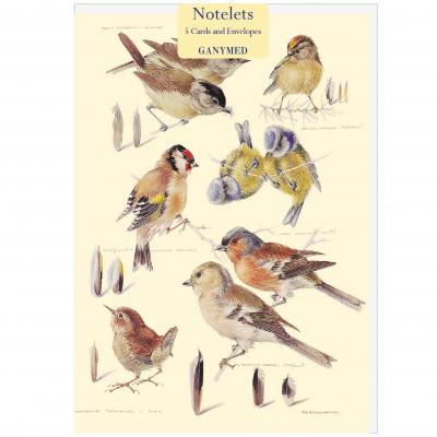 Mildred Eldridge - Garden Birds