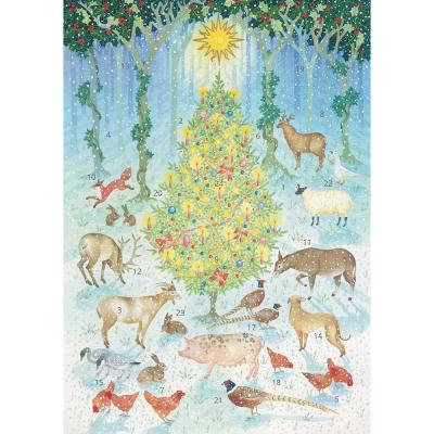 Advent Calendars - 5060446727973