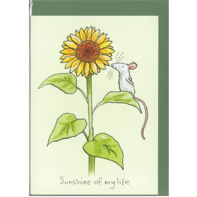 Sunshine of my Life - Two Bsd Mice