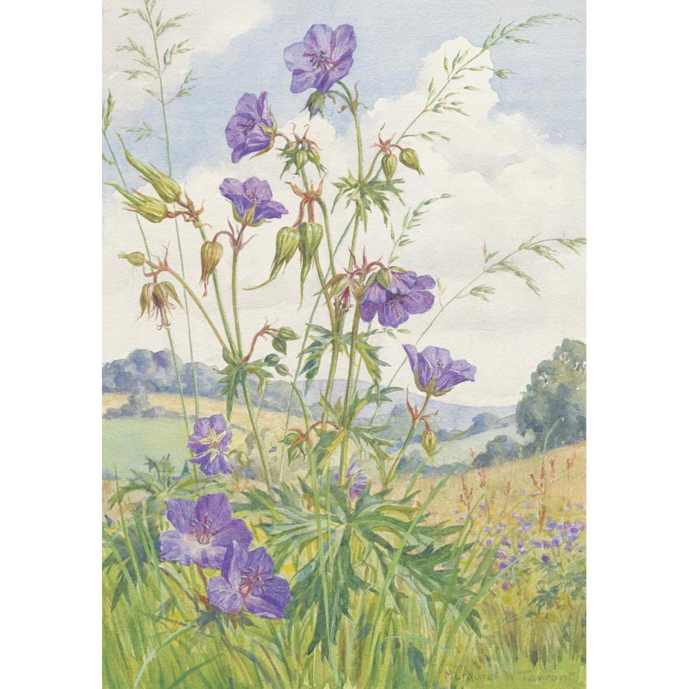 Margaret tarrant charity christmas cards