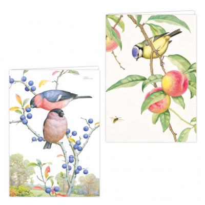 Ganymed Press - Note Card Wallet - 739988258782 - NSW-AA742-BL