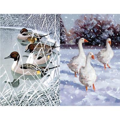 Christmas Cards - Box - 5015278433127