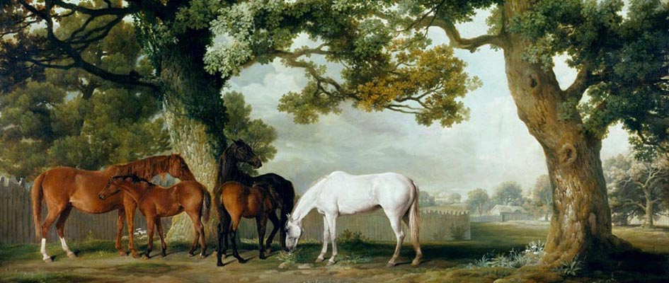 Mares and Foals _ Goerge Stubbs